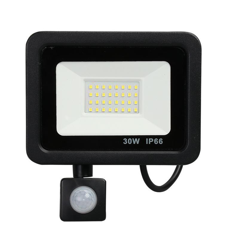 30W 50W 100W 150W Human body induction floodlight home garden garage-TI00879-Veeddydropshipping