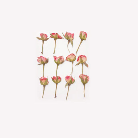 rose dried flowers all kinds of DIY dry flower-HA00672-Veeddydropshipping
