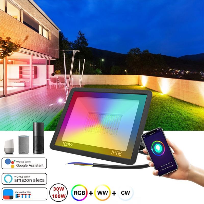 Smart RGB Floodlight For Garden 100W Spotlight Outdoor Lawn Lighting-TI00886-Veeddydropshipping