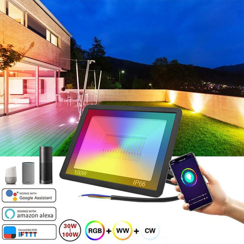 Smart RGB Floodlight For Garden 100W Spotlight Outdoor Lawn Lighting-TI00886-Veeddydropshipping