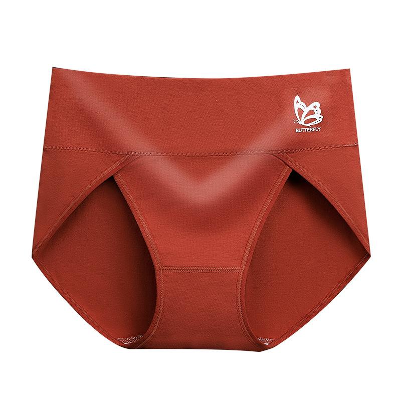 Panties for Women Underpants High Waist-Veeddydropshipping