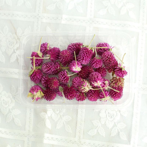 Natural Dried Flowers Head Epoxy Resin Mold-HA00747-Veeddydropshipping