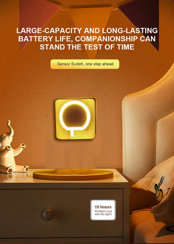 Multi-function America European Dual USB Sensor Lamp Charger with Night Light -CE00231-Veeddydropshipping