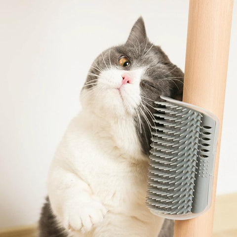 Massage Comb Pet Comb Removable Cat Corner-HA01974-Veeddydropshipping