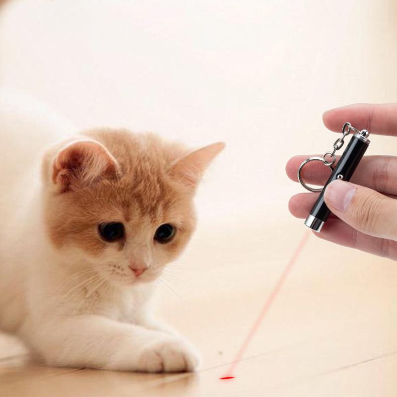 Pet Cat Dog Chase Training LED Laser Pointer Toy-HA01975-Veeddydropshipping