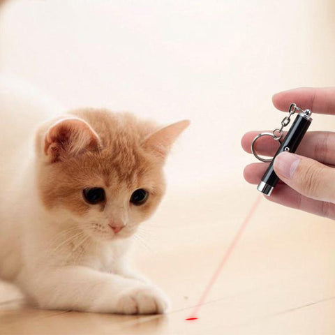 Pet Cat Dog Chase Training LED Laser Pointer Toy-HA01975-Veeddydropshipping