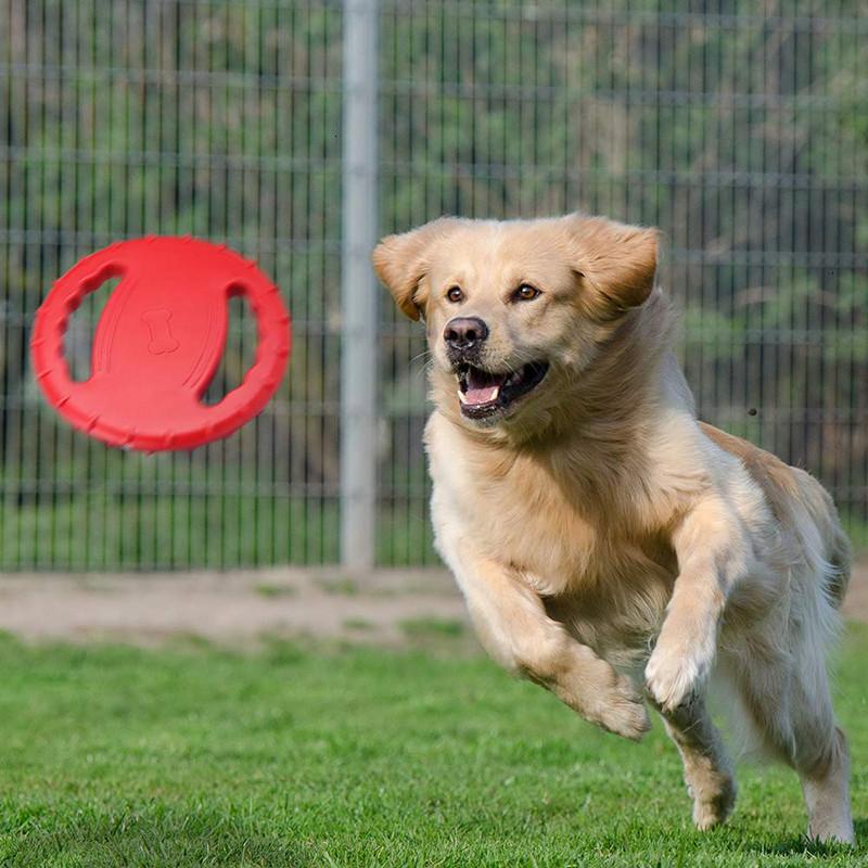 Pet UFO Toys Dog Flying Discs Trainning-HA01493-Veeddydropshipping