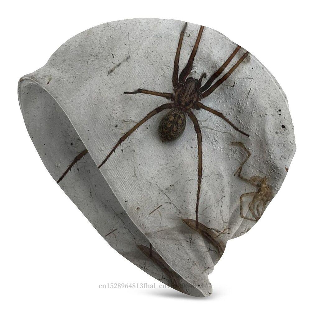 Outdoor Hats Spider On The Wall Knitting Hat Bonnet-MF00922-Veeddydropshipping