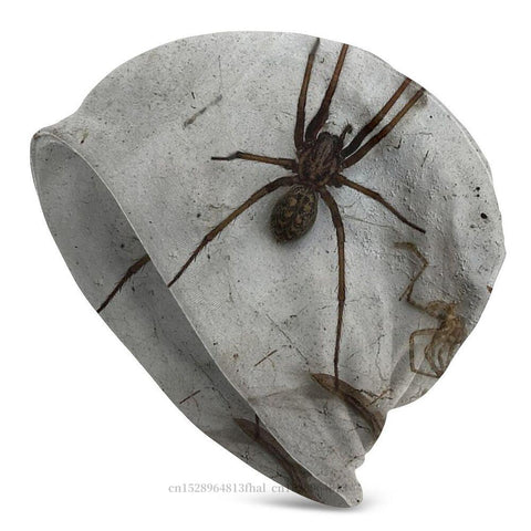 Outdoor Hats Spider On The Wall Knitting Hat Bonnet-MF00922-Veeddydropshipping