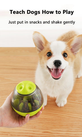 Pet Funny Interactive Dog Cat Toy Feed Bowl-HA01504-Veeddydropshipping