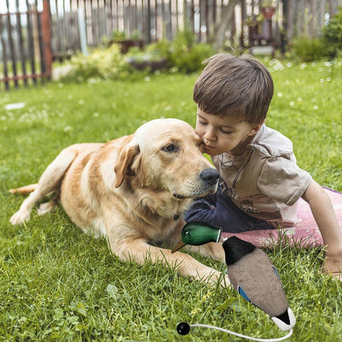 Dog Mimics Dead Duck Bumper Toy-HA01519-Veeddydropshipping