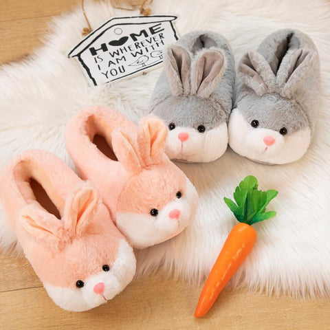 Winter Warm Plush Home Silent Indoor Floor Kawaii-BS01160-Veeddydropshipping