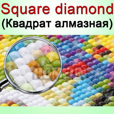 Diamond Painting 5D DIY Picture-HA00105-Veeddydropshipping