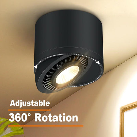 Angle Adjustable  Mounted Down light-TI00358-Veeddydropshipping
