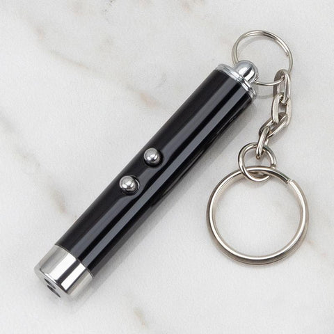 Pet Cat Dog Chase Training LED Laser Pointer Toy-HA01975-Veeddydropshipping