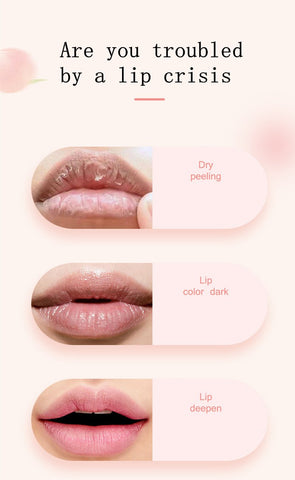 Lip Balm Lipstick Gloss Makeup Lip-BH00653-Veeddydropshipping