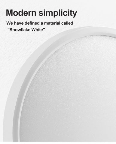 Modern Remote Control Led Ceiling Light -TI00300-Veeddydropshipping