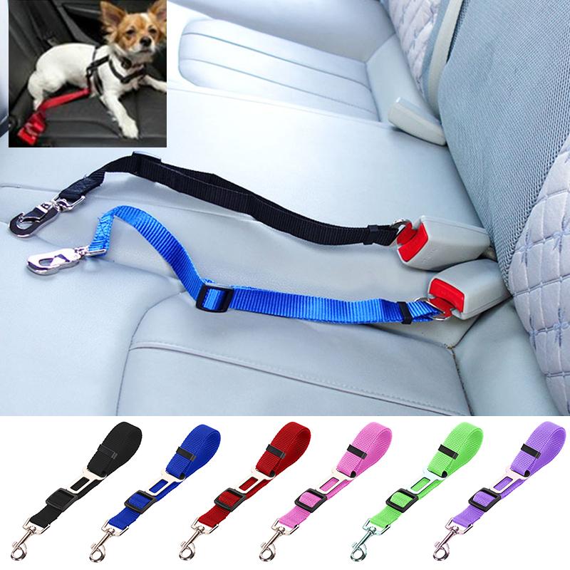 Nylon Lead Leash Harness for Pet Puppy Kitten Vehicle-AM01455-Veeddydropshipping