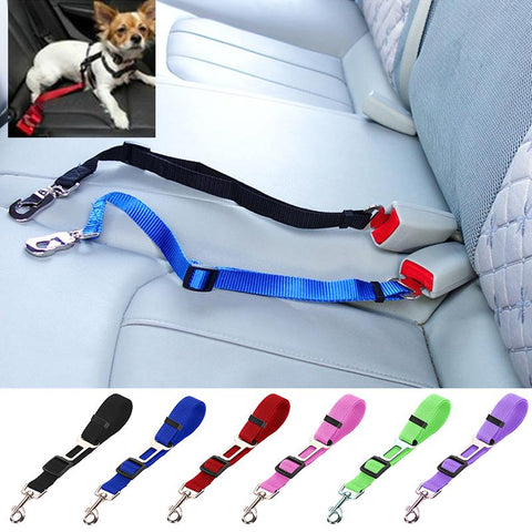 Nylon Lead Leash Harness for Pet Puppy Kitten Vehicle-AM01455-Veeddydropshipping