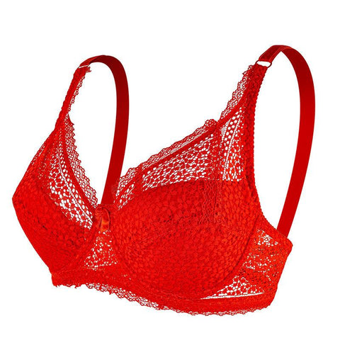 Lace Bra Large Size Ladies Underwear-WF00816-Veeddydropshipping