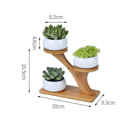 Plant Shelves Flower Display Stand-HA01721-Veeddydropshipping