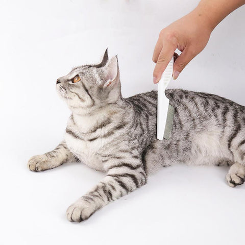 Pet Cat Comb Anti Lice Stainless Steel-HA01383-Veeddydropshipping