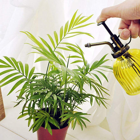 Plant Flower Watering Pot Spray Bottle-HA01535-Veeddydropshipping