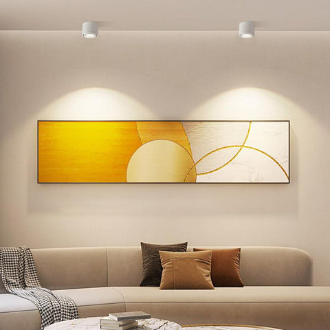 Dimmable Surface Mounted LED Ceiling Light-TI00373-Veeddydropshipping