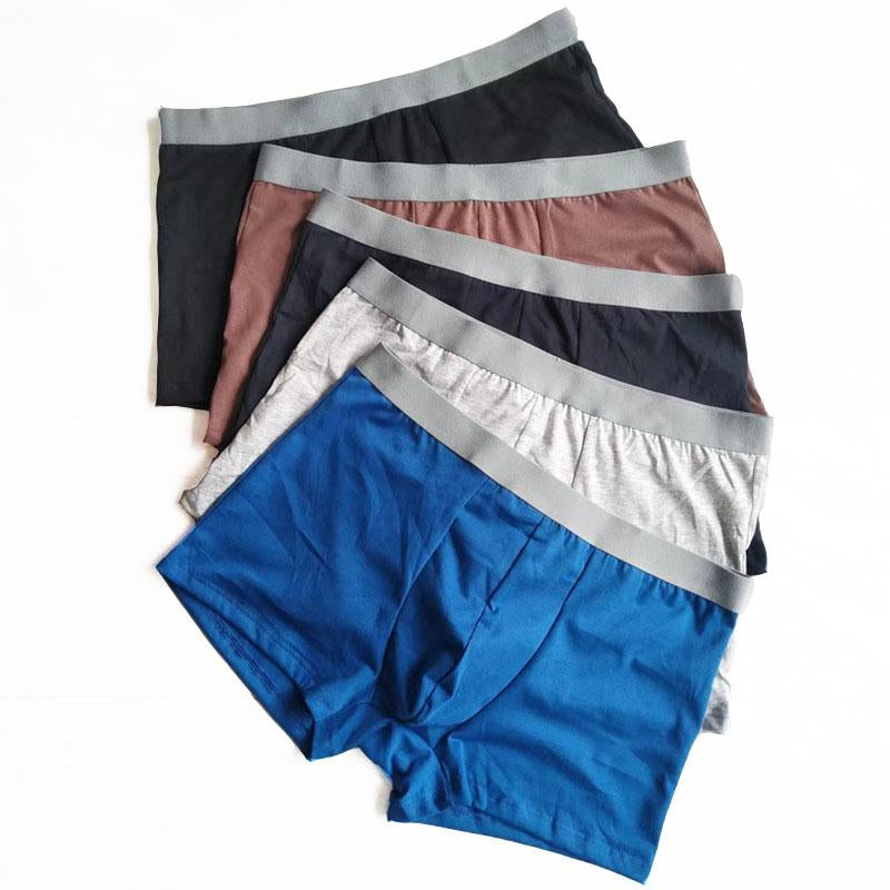 Underwear Male Cotton Boxer Casual  Breathable Underpants-MF01720-Veeddydropshipping