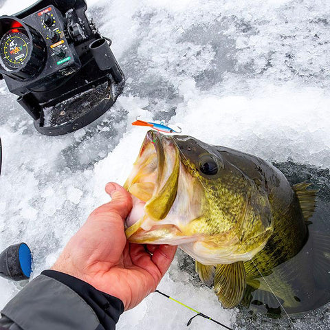 New 1pc Lure Balancers Winter Ice Fishing Lure 5.8cm 9g Ice Jig High Quality Artificial -OS00471-Veeddydropshipping