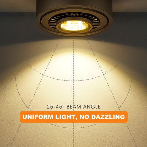 Angle Adjustable  Mounted Down light-TI00358-Veeddydropshipping