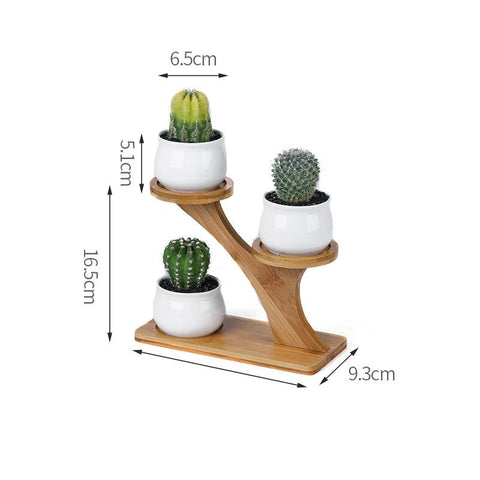 Plant Shelves Flower Display Stand-HA01721-Veeddydropshipping