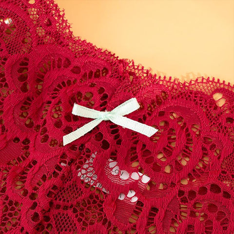 Women Sexy Lace Panties Underwear-Veeddydropshipping