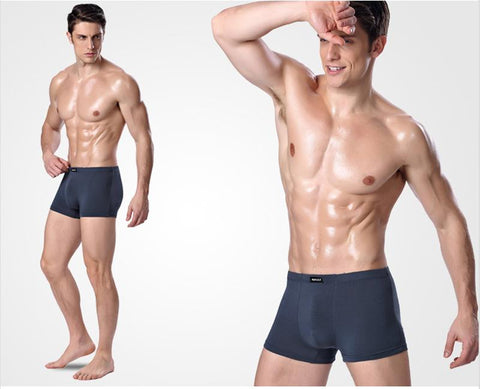 Boxers Bamboo Fiber Homme Boxer Panties Breathable Cozy Male Underpants Soft Man-MF01714-Veeddydropshipping