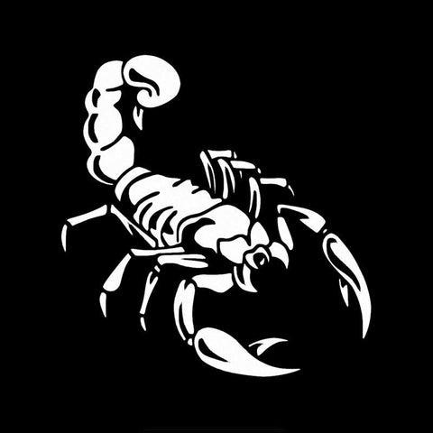 Stickers Car Decoration Scorpion Waterproof and Sunscreen-AM00885-Veeddydropshipping