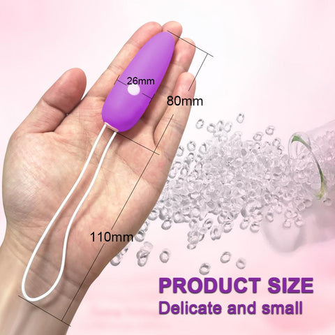Bluetooth App Mini Bullet Vibrator for Women Clit Stimulator Wireless Remote Pantie -BH01287-Veeddydropshipping
