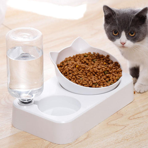Pet bowl Drinking water Feeding bowl-HA01394-Veeddydropshipping