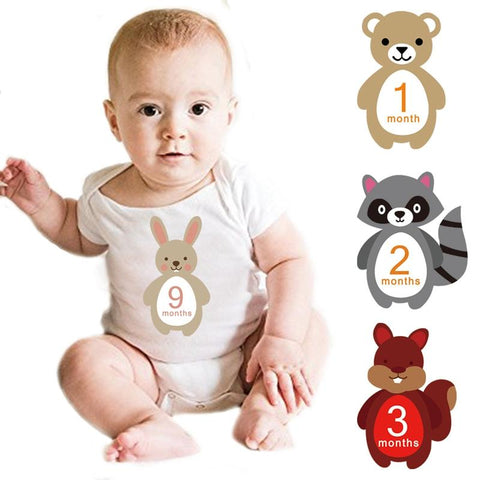 12PCS Month Stickers Baby Photography Milestone Paper Made Cards Newborn-TB00791-Veeddydropshipping