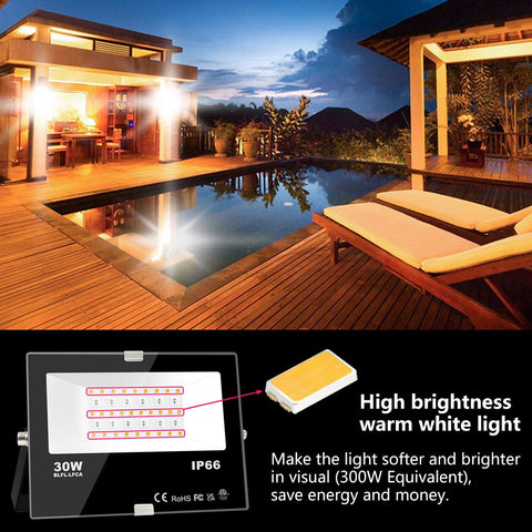 RGB LED Floodlight 30W Bluetooth Outdoor Smart Flood Light 110V 220V-TI00878-Veeddydropshipping