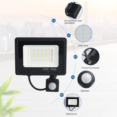 LED PIR Motion Sensor Floodlight for Outdoors Wall AC 220V 100W 50W 30W 20W-TI00885-Veeddydropshipping
