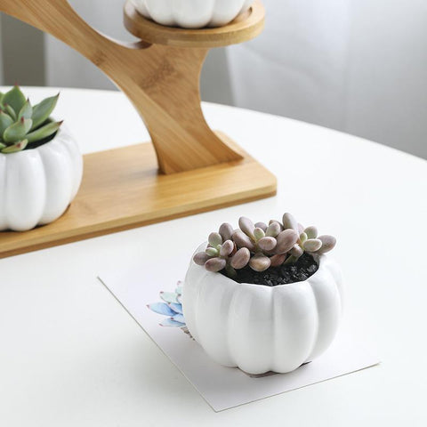 Plant Shelves Flower Display Stand-HA01721-Veeddydropshipping