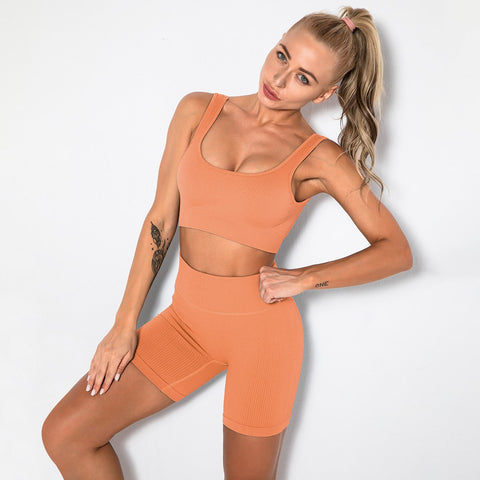 2PCS Women Yoga Set Gym Set Sexy Bra Seamless Sports Shorts Workout Running-OS00757-Veeddydropshipping