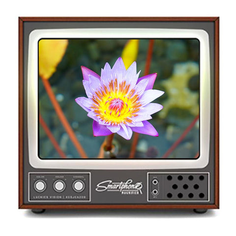 Movie Mobile Phone Screen Magnifier Amplifier Vintage TV Shape Box Foldable-PA00742-Veeddydropshipping
