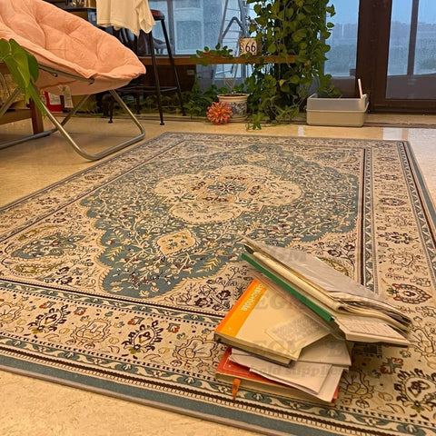 Luxury Rugs and Carpets for Home Living Room-HA00461-Veeddydropshipping