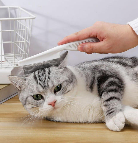 Pet Cat Comb Anti Lice Stainless Steel-HA01383-Veeddydropshipping