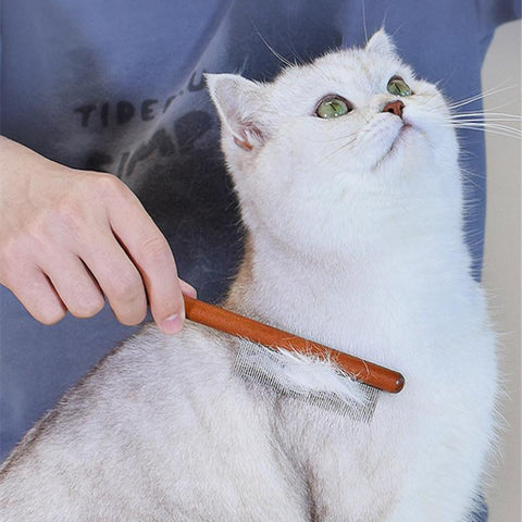 Cat Comb Stainless Steel Pet Hair Remover-HA01991-Veeddydropshipping