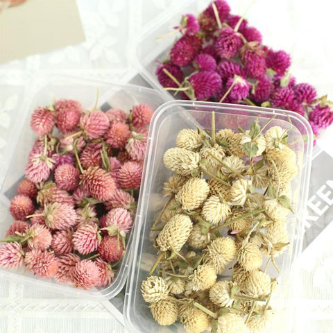 Natural Dried Flowers Head Epoxy Resin Mold-HA00747-Veeddydropshipping