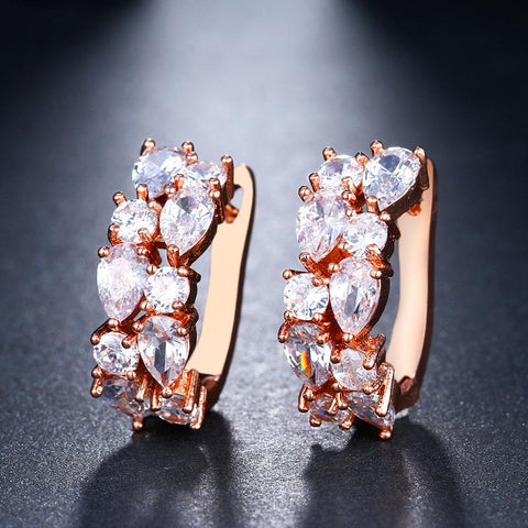 Fashion Charm  Earrings Shiny  Zircon Dazzling Jewelry -JW01415-Veeddydropshipping