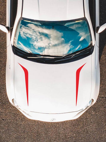 Vinyl Sticker Stripe Decal Modification Hood Decals-AM00936-Veeddydropshipping