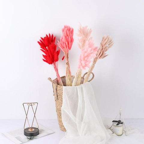 Fluffy Pampas Dried Flowers Bouquet Home Decor-HA00642-Veeddydropshipping